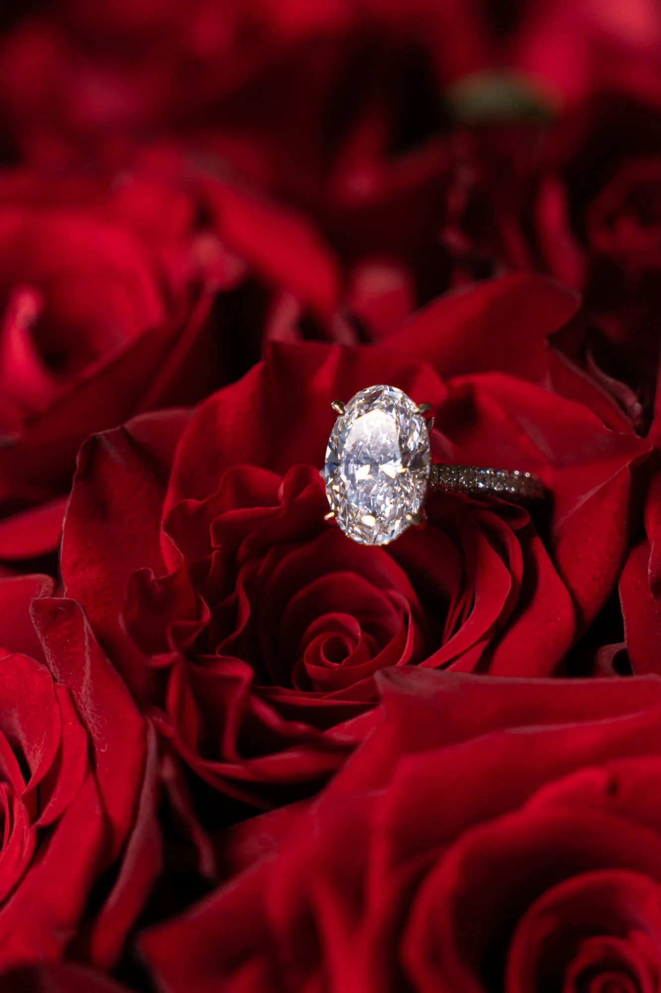 Oval diamond engagement ring resting on red roses